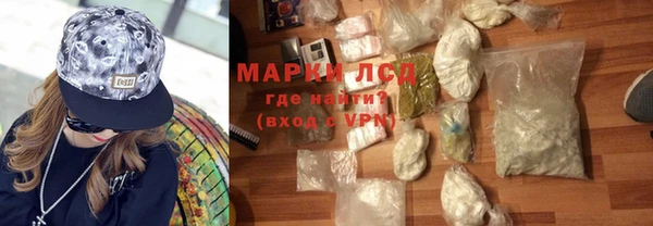 стаф Верея