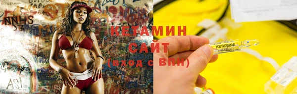 стаф Верея