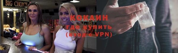 дживик Каменногорск