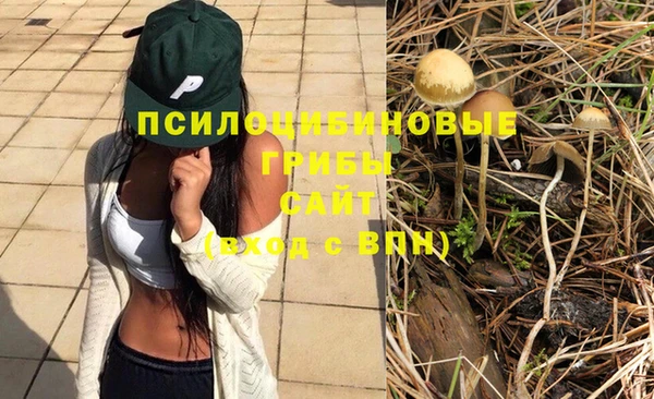 стаф Верея