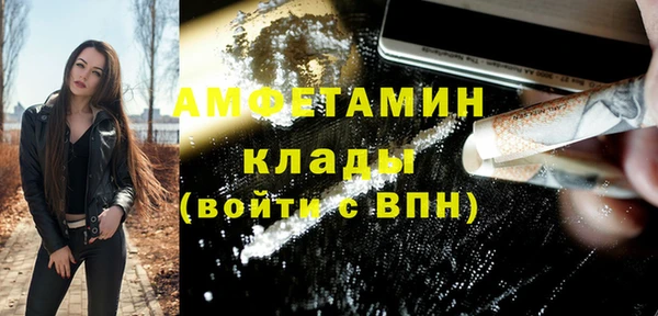 стаф Верея