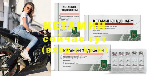 стаф Верея