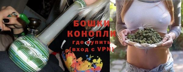 стаф Верея